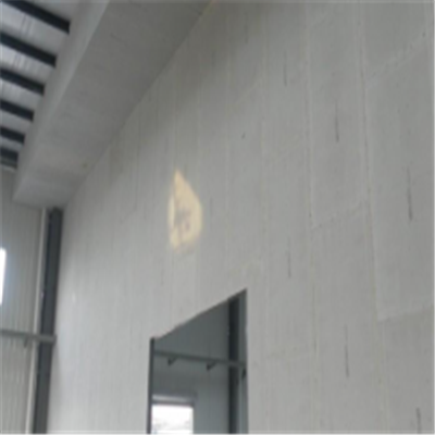 天元宁波ALC板|EPS加气板隔墙与混凝土整浇联接的实验研讨